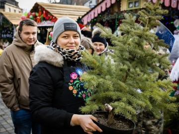 Jarmark bożonarodzeniowy w Przedborzu, 