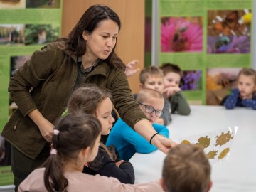 Bądź eco - dbaj o pszczoły, 