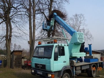 Bociany z terenu LGD – „Gniazdo” i LGD – „Kraina Rawki” mają odnowione gniazda, 