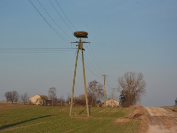 Bociany z terenu LGD – „Gniazdo” i LGD – „Kraina Rawki” mają odnowione gniazda, 