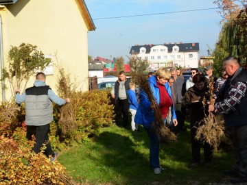 Dzień Drzewa w Gminie Bolimów, H.Bałut