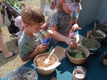 Relacja z 3 edycji Festiwalu Ogrodniczego w Nieborowie , 