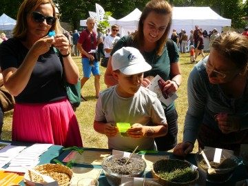 Relacja z 3 edycji Festiwalu Ogrodniczego w Nieborowie , 