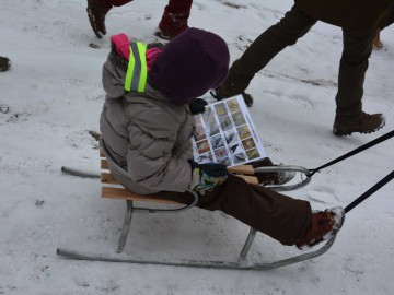 Relacja z zimowego ptakoliczenia 2019, K.Pira