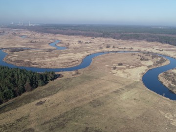 Łąki Ciebłowickie w Spalskim Parku Krajobrazowym, <p>Fot. Piotr Wypych</p>