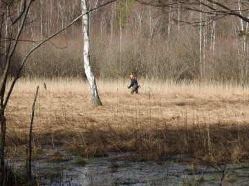 Ochrona czarcikęsika Kluka w Spalskiem PK - etap I - 2022, 