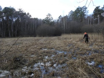 Ochrona czarcikęsika Kluka w Spalskiem PK - etap I - 2022, 