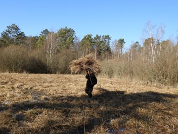 Ochrona czarcikęsika Kluka w Spalskiem PK - etap I - 2022, 