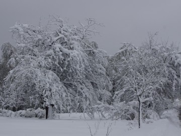 Śnieg, 