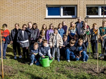 Dzień Drzewa w Publicznej Szkole Podstawowej w Przedborzu., 