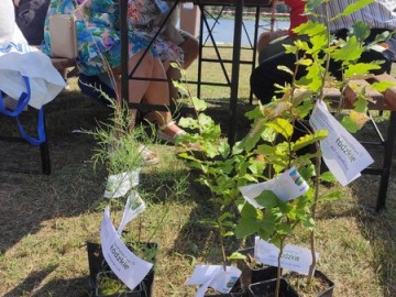 Powiatowy piknik rodzinny w Zakrzówku Szlacheckim., 