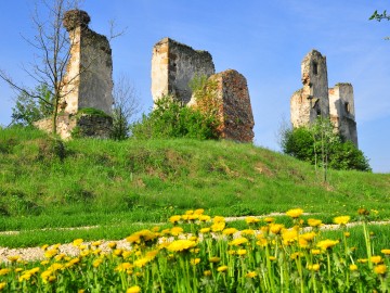 Zamek w Majkowicach - ruiny  XVIw.