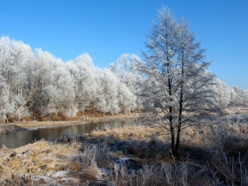 Krajobrazy Przedborskiego PK szronem malowane., 