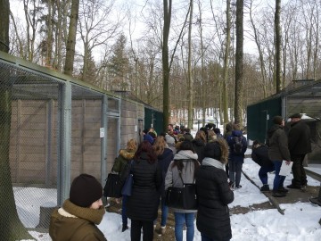 PPKP finał wojewódzki 2018, fot. M. Majda