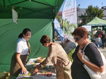 Piknik Rodzinny w Ozorkowie, fot. M. Majda, 