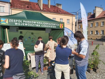 Piknik Rodzinny w Ozorkowie, fot. M. Majda, 
