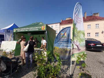 Piknik Rodzinny w Ozorkowie, fot. M. Majda, 
