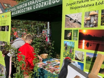 Relacja z charytatywnego wydarzenia Apetyt na Oddech „Łupkowa Run 2024”, 