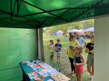 Relacja z pikniku z Województwem Łódzkim w Pabianicach, 