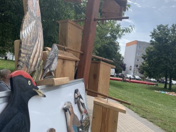 Relacja z Piknik z Województwem Łódzkim na Teofilowie , 