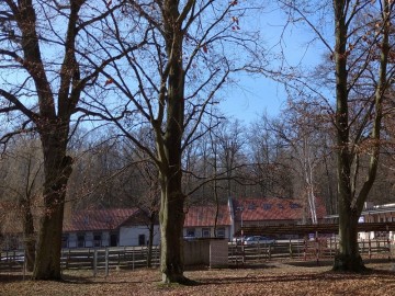 Skupisko pomników przy ul. Wycieczkowej, <p>fot. Mateusz Starnowski</p>