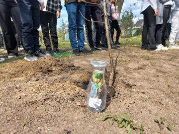 Sad tradycyjny przy SP Niesułków (gm. Stryków), 