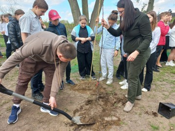Sad tradycyjny przy SP Niesułków (gm. Stryków), 