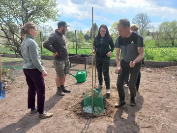Sad tradycyjny przy SP Niesułków (gm. Stryków), 