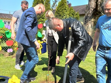 Sad tradycyjny przy SP Niesułków (gm. Stryków), 