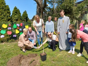 Sad tradycyjny przy SP Niesułków (gm. Stryków), 