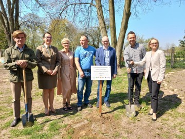 Sad tradycyjny przy SP Niesułków (gm. Stryków), 