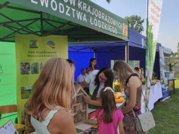 Piknik Rodzinny w Dąbrowicach, 