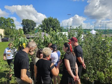 Dożynki Województwa Łódzkiego w Buczku, 