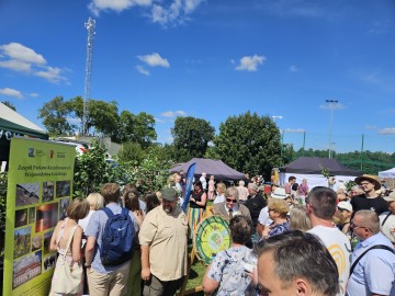 Dożynki Województwa Łódzkiego w Buczku, 