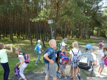 Kolorowa Lokomotywa w Załęczańskim Parku Krajobrazowym, 