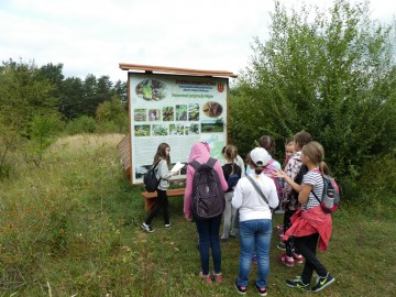 Ostatnia Kolorowa Lokomotywa w Sieradzkich Parkach Krajobrazowych, Katarzyna Łężak