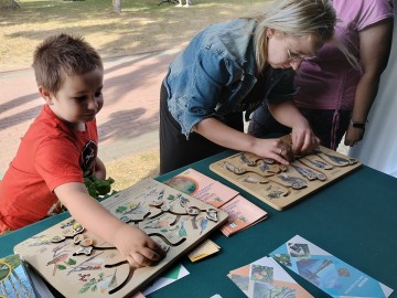 Festiwal smaków i muzyki w Działoszynie, 