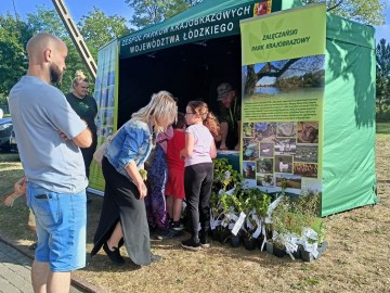 Festiwal smaków i muzyki w Działoszynie, 