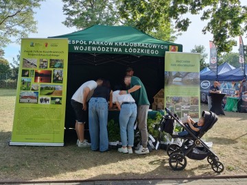 Festiwal smaków i muzyki w Działoszynie, 
