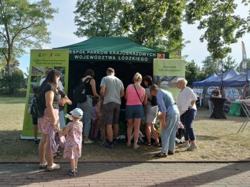 Festiwal smaków i muzyki w Działoszynie, 