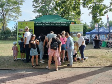 Festiwal smaków i muzyki w Działoszynie, 
