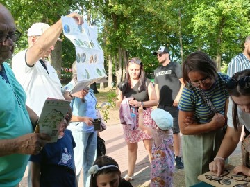 Festiwal smaków i muzyki w Działoszynie, 