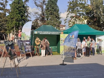 Zduńskowolskie Dni Seniora, 