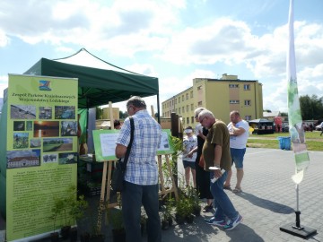 Piknik Rodzinny w Wieluniu, 