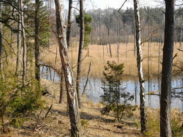 Obserwacje w Załęczańskim PK, 