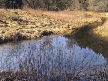 9.Załęczański Park Krajobrazowy i okolice – Warta oraz jej dopływy, <p>M. Ignaczak</p>