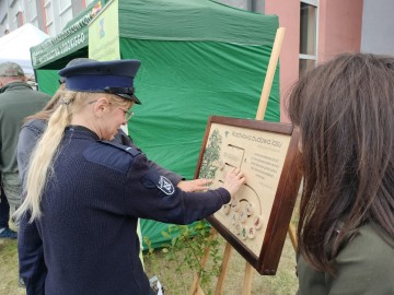 Piknik w Wojsławicach, 